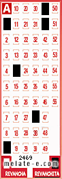Volante ganador del sorteo 2469 de Revanchita