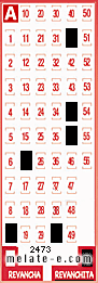 Volante ganador del sorteo 2473 de Revanchita