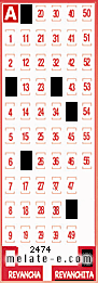 Volante ganador del sorteo 2474 de Revanchita