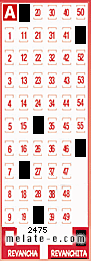 Volante ganador del sorteo 2475 de Revanchita