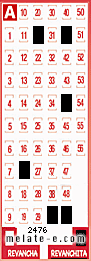 Volante ganador del sorteo 2476 de Revanchita
