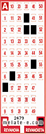 Volante ganador del sorteo 2479 de Revanchita