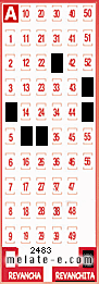 Volante ganador del sorteo 2483 de Revanchita