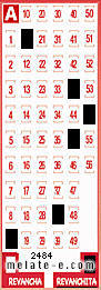Volante ganador del sorteo 2484 de Revanchita