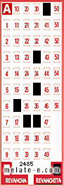 Volante ganador del sorteo 2485 de Revanchita