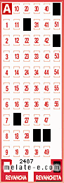 Volante ganador del sorteo 2487 de Revanchita