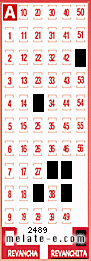 Volante ganador del sorteo 2489 de Revanchita