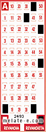 Volante ganador del sorteo 2493 de Revanchita