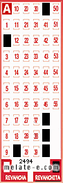 Volante ganador del sorteo 2494 de Revanchita