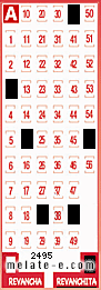 Volante ganador del sorteo 2495 de Revanchita