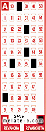 Volante ganador del sorteo 2496 de Revanchita