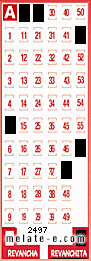 Volante ganador del sorteo 2497 de Revanchita