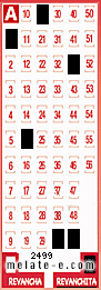 Volante ganador del sorteo 2499 de Revanchita
