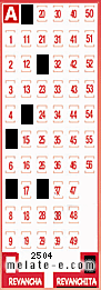 Volante ganador del sorteo 2504 de Revanchita