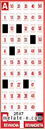 Volante ganador del sorteo 2507 de Revanchita