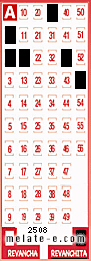 Volante ganador del sorteo 2508 de Revanchita