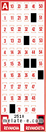 Volante ganador del sorteo 2510 de Revanchita