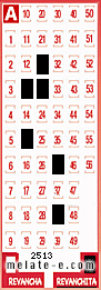 Volante ganador del sorteo 2513 de Revanchita
