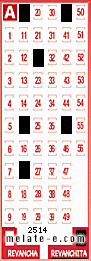 Volante ganador del sorteo 2514 de Revanchita