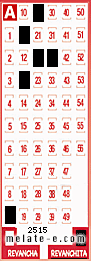 Volante ganador del sorteo 2515 de Revanchita