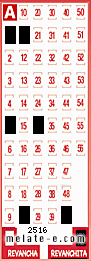 Volante ganador del sorteo 2516 de Revanchita