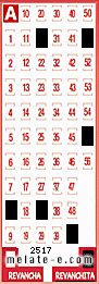 Volante ganador del sorteo 2517 de Revanchita