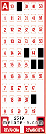 Volante ganador del sorteo 2519 de Revanchita