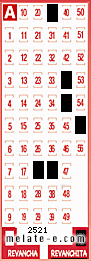 Volante ganador del sorteo 2521 de Revanchita