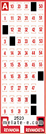 Volante ganador del sorteo 2523 de Revanchita