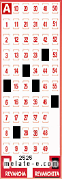 Volante ganador del sorteo 2525 de Revanchita