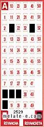 Volante ganador del sorteo 2529 de Revanchita