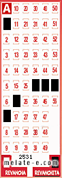 Volante ganador del sorteo 2531 de Revanchita