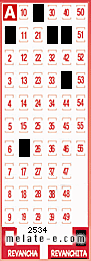 Volante ganador del sorteo 2534 de Revanchita
