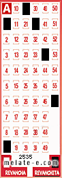 Volante ganador del sorteo 2535 de Revanchita