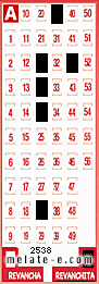 Volante ganador del sorteo 2538 de Revanchita