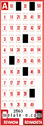 Volante ganador del sorteo 2563 de Revanchita