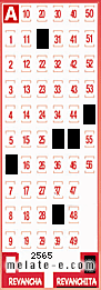 Volante ganador del sorteo 2565 de Revanchita