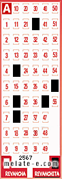 Volante ganador del sorteo 2567 de Revanchita