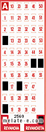 Volante ganador del sorteo 2569 de Revanchita