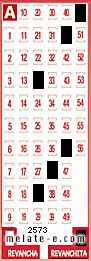 Volante ganador del sorteo 2573 de Revanchita