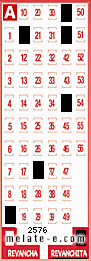 Volante ganador del sorteo 2576 de Revanchita
