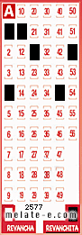 Volante ganador del sorteo 2577 de Revanchita
