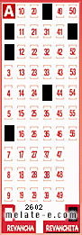 Volante ganador del sorteo 2602 de Revanchita