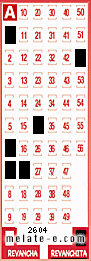 Volante ganador del sorteo 2604 de Revanchita