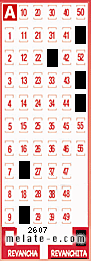 Volante ganador del sorteo 2607 de Revanchita