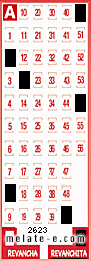 Volante ganador del sorteo 2623 de Revanchita