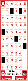 Volante ganador del sorteo 2624 de Revanchita