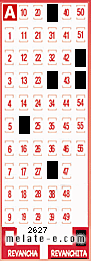 Volante ganador del sorteo 2627 de Revanchita