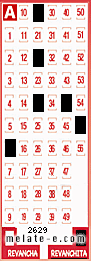 Volante ganador del sorteo 2629 de Revanchita