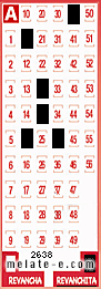 Volante ganador del sorteo 2638 de Revanchita